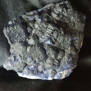 fluorine mongolie interieure chine