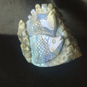 poissons labradorite
